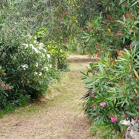 Dom wakacyjny Villino San Silvestro Ponte San Nicolo