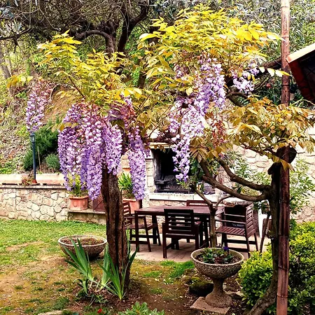 Villino San Silvestro Dom wakacyjny Ponte San Nicolo